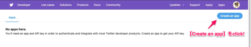 Twitter Developer PortalのTOPページ